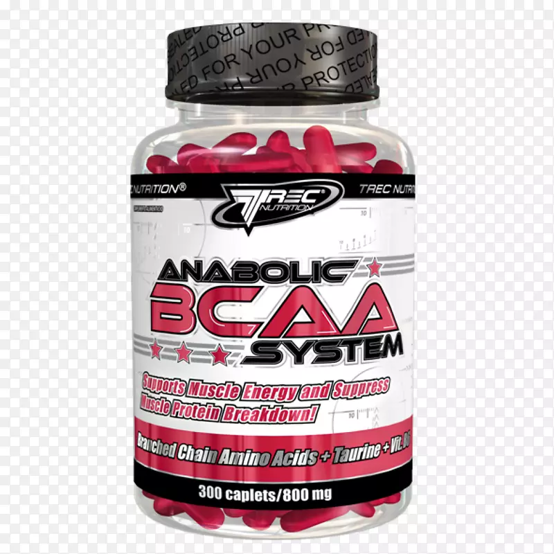 ��ʳ�����.֧�������ὡ�������TRECӪ��.�ϳ���̴�-������