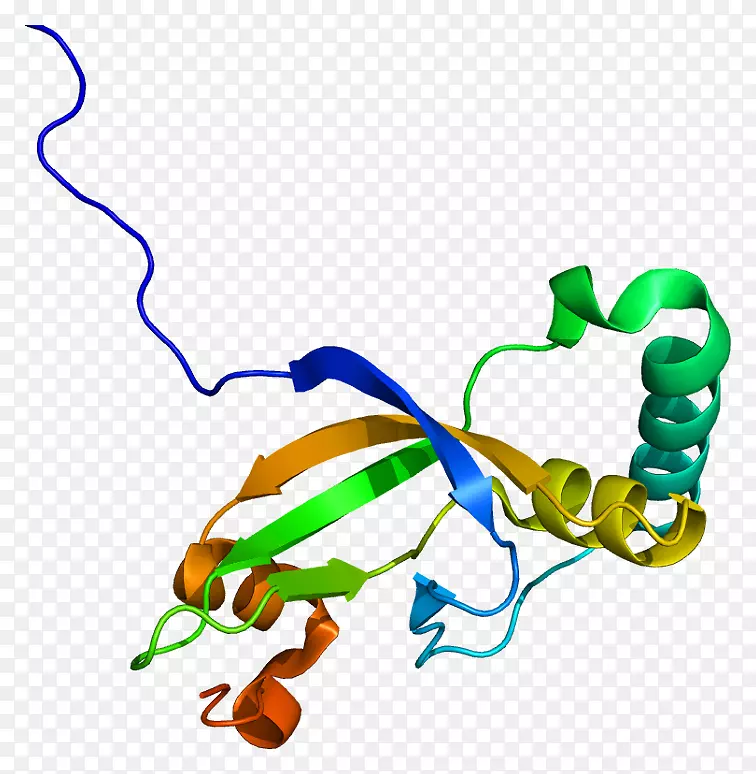 ���������л����߼�������-������