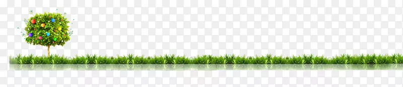 ��������-������