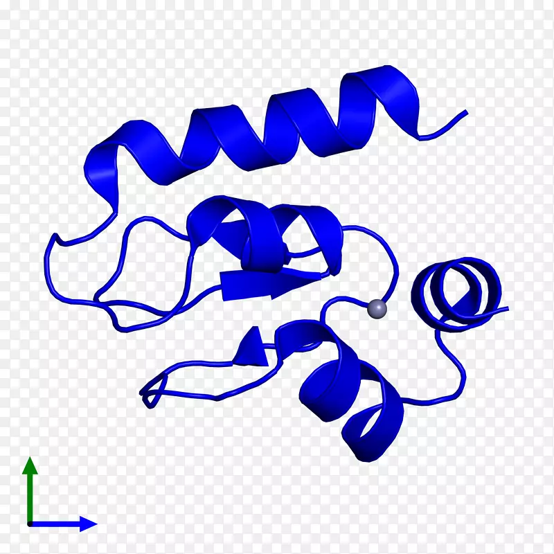 �ߵ������-��-������