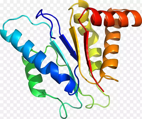 �ߵ������������-������