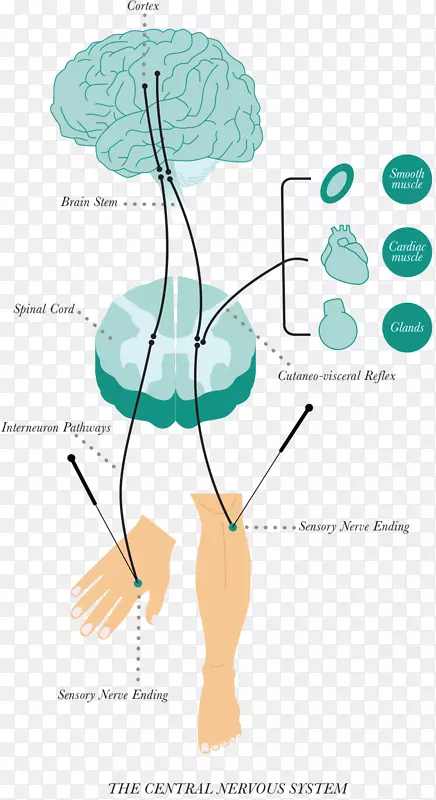 ����֤�ݵ���ı����Ʒ�-��ϵͳ-������