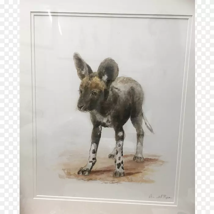 ����.Ұ������.ˮ�ʻ���-������