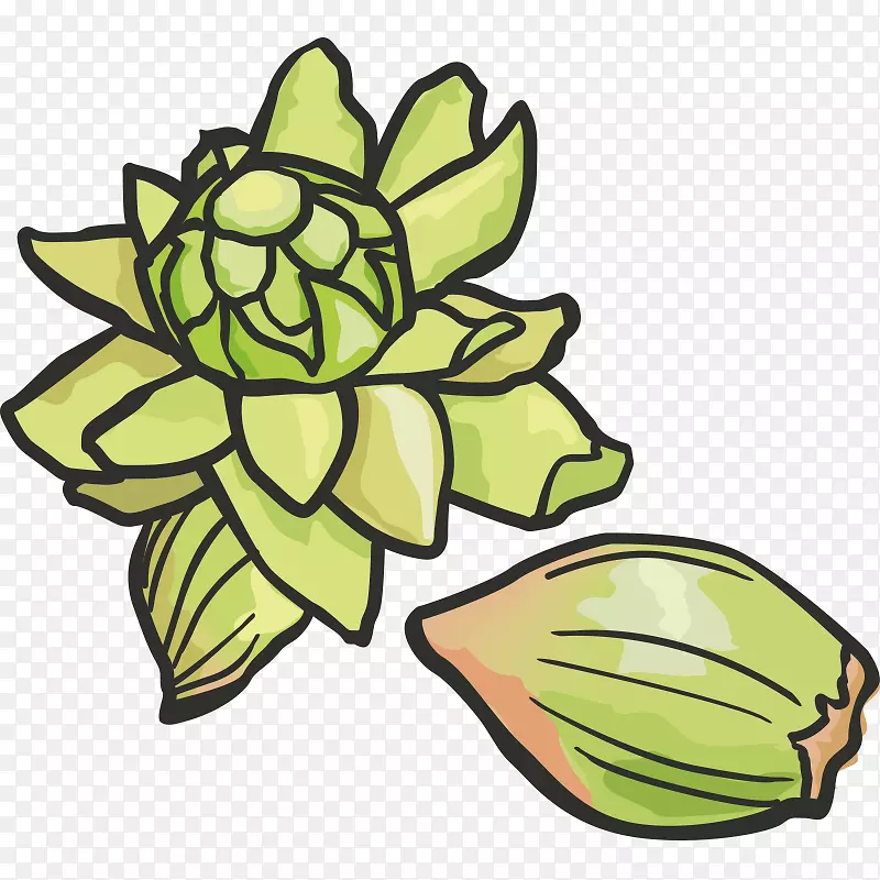 ˮ�������߲˲�ͼ-�߲ˣ�ˮ�����߲ˣ���ɫ��ˮ�����߲�-������