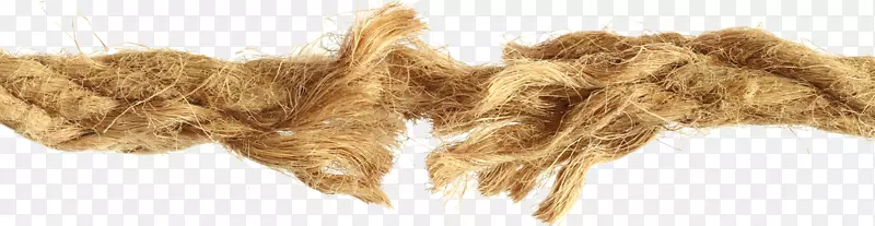 ��Ӱ������-��˿��-������