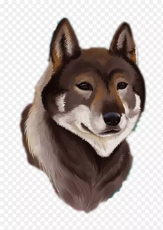 ��Ʒ��ͼ-���µ��ֻ湷����-������