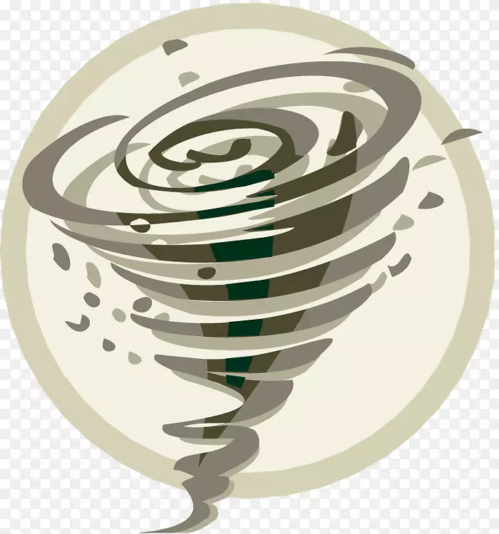 2011���������ͬJoplin������籩׷��Zazzle-������-������