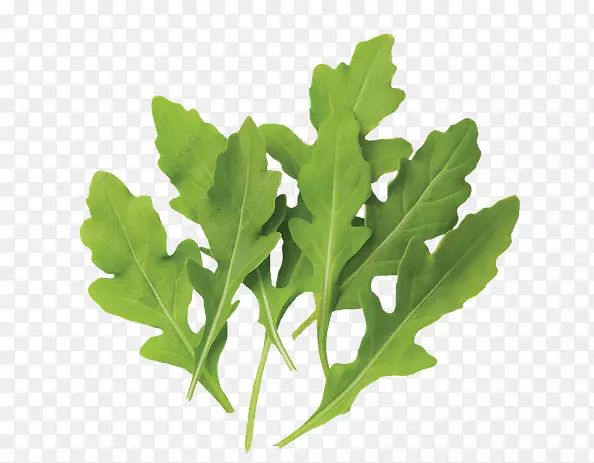 ���̻���߲����߲˺���-�߲�-������