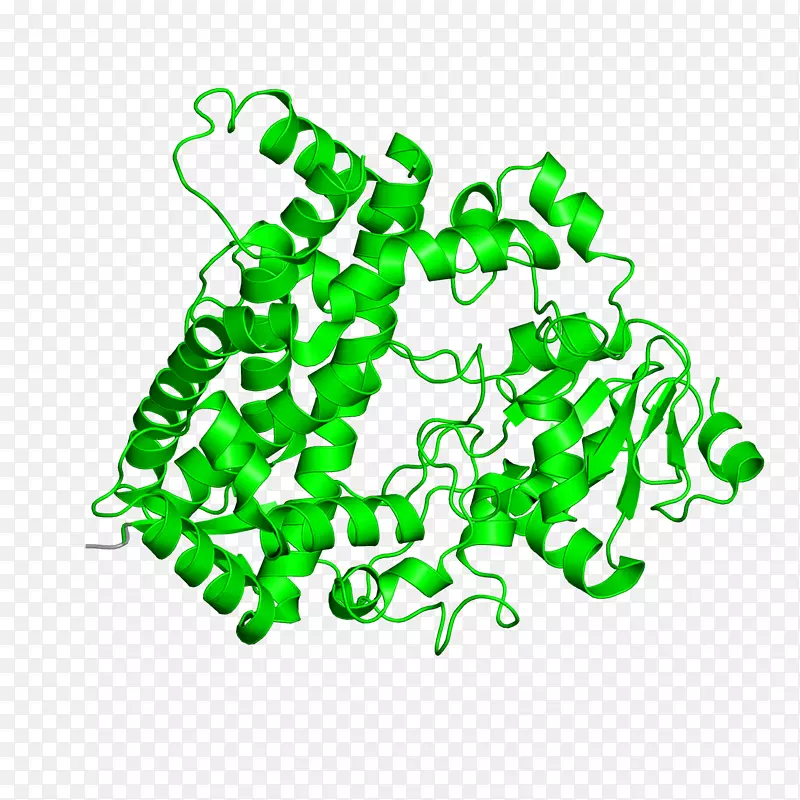 �ߵ������������-������