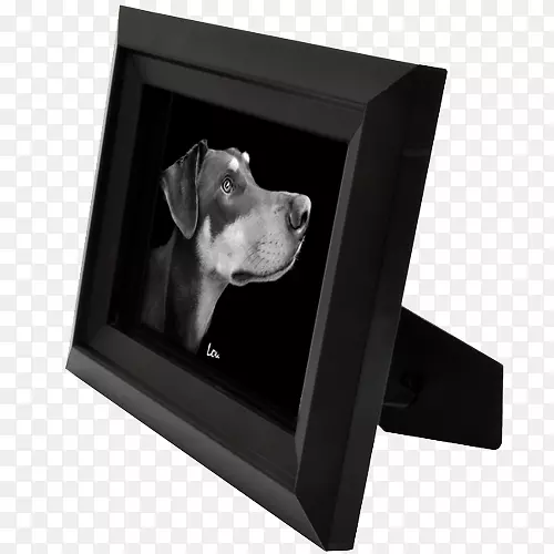 ������.��-������