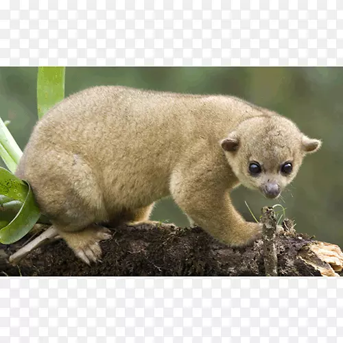 ½���������-������