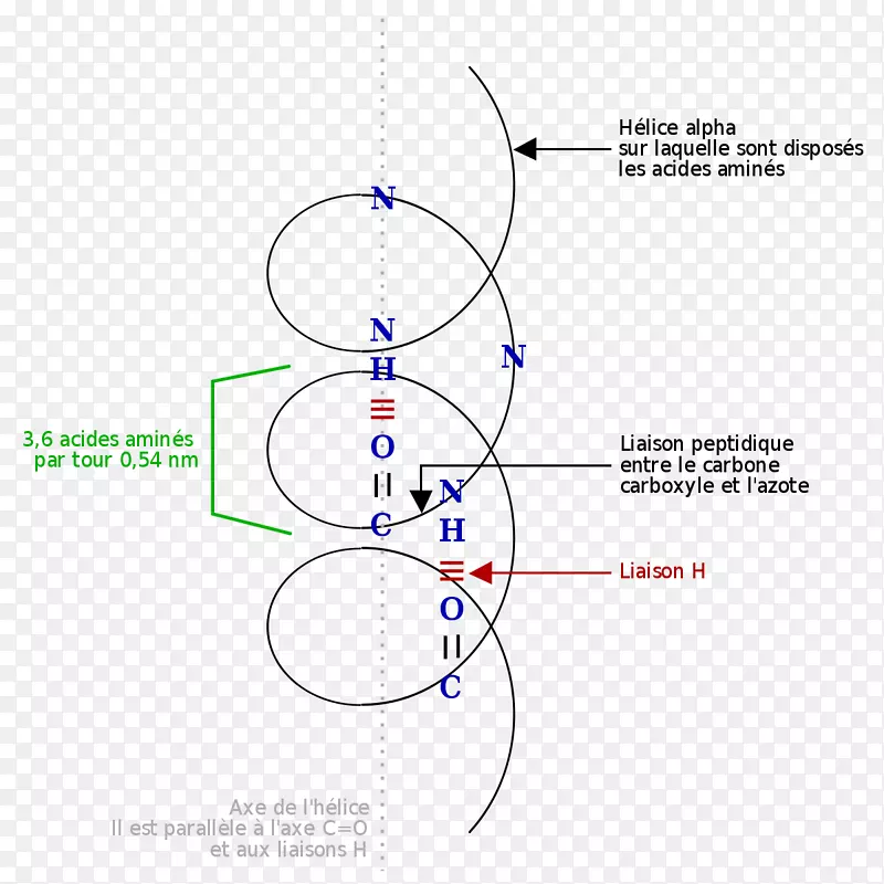 ��-�������צ�-������-������