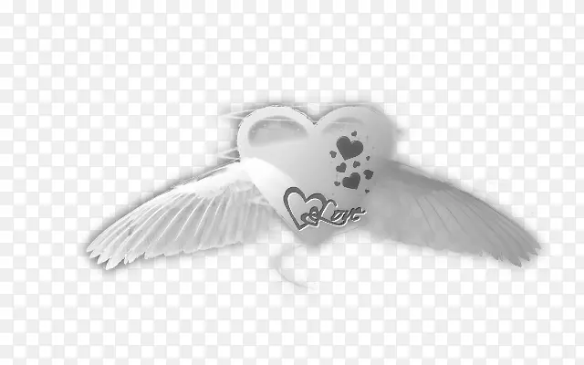 ��ë�-IMVU-������