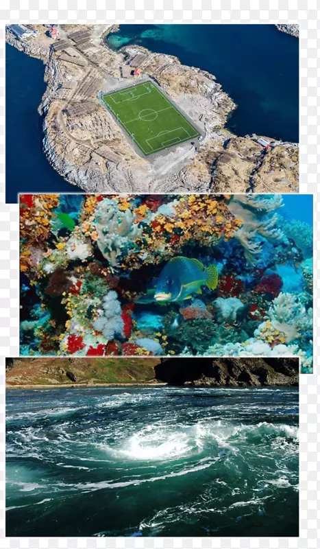 �Ĵ����Ǻ���������Դ����ɺ����-����-������