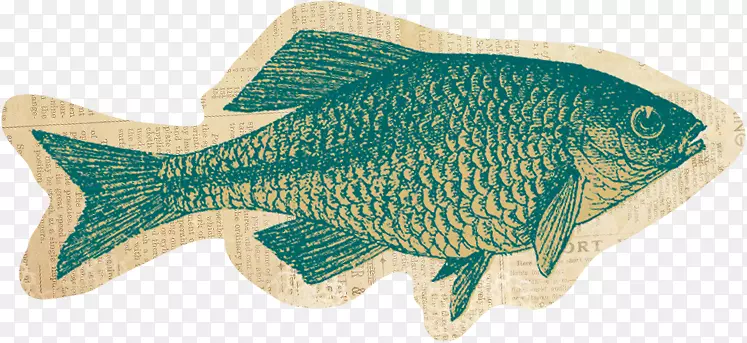 �޷���-����-β�����-������