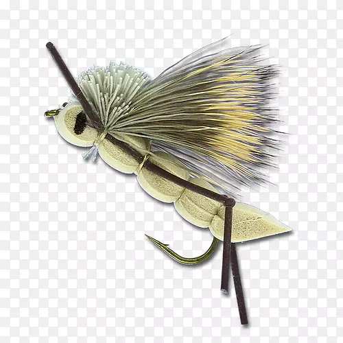 �����˹�Ӭ-������