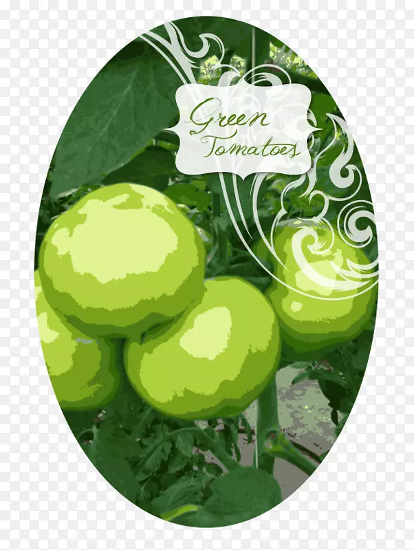 ʥ����׺ˮ��-ʥ����-������