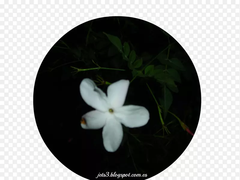 ������魡���ľ������-����-������