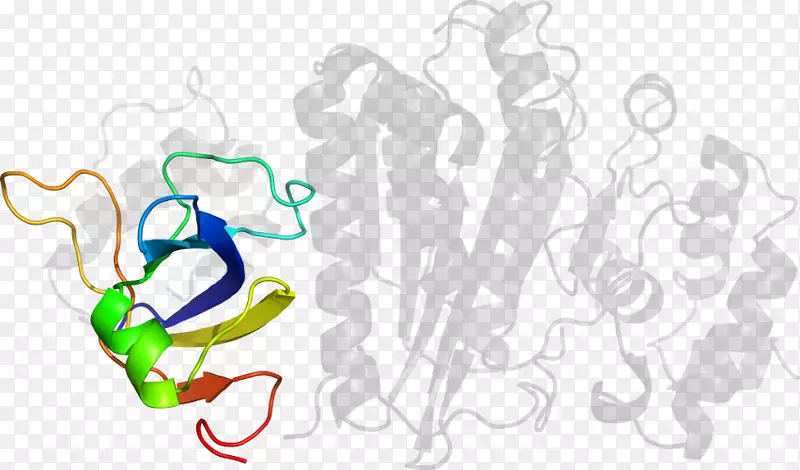 ƽ����Ƽ�����.���-������