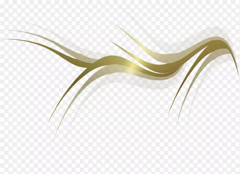 �������-������