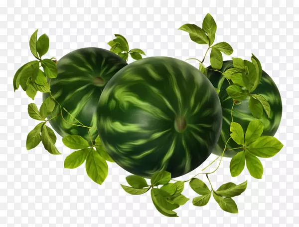 ����ˮ������.ˮ���͹�ζ-������