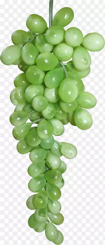 ���ѹ�ζ-������