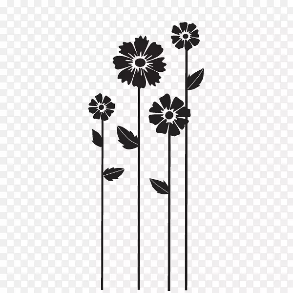 ����Ҷֲ�ﾥ����ֲ��-Ҷ-������