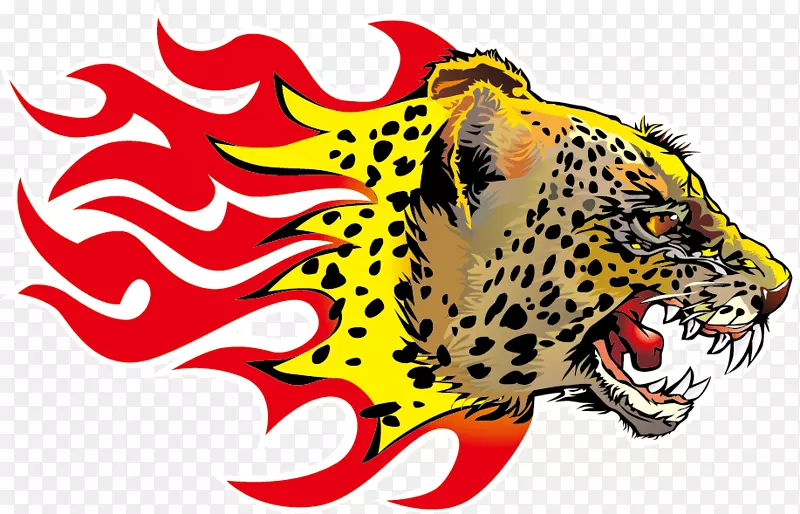 �Ա�ֽ��־-���������Ͷ����������-������