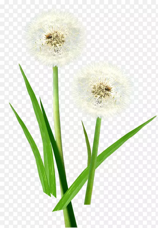 ��ͨ�ѹ�Ӣͼ-������