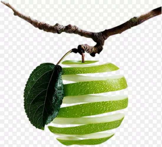 ŦԼ��־����ʳƷ�����Ѿư���-��������-������