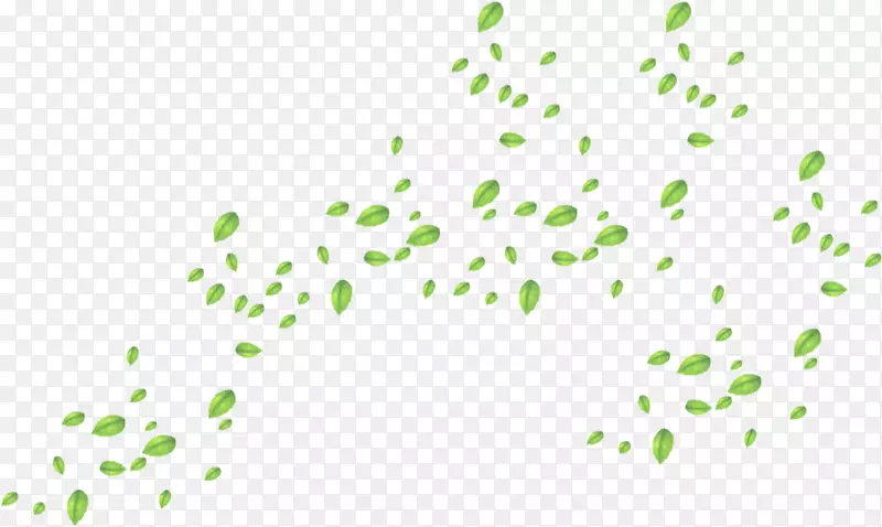 ̨��Ҷ��Ҷ-��Ҷ-������