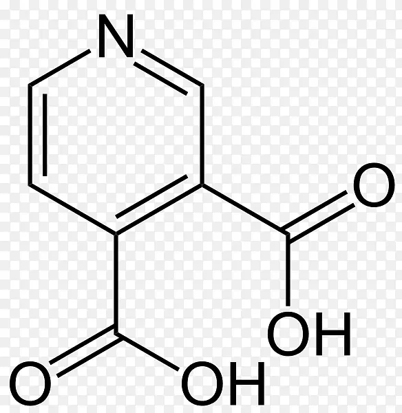 ���ᱽ����ѧ�����л�������-���-������