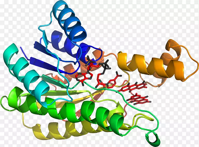 �����߶����������-������