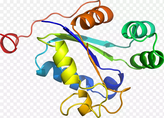 ����ƽ����Ƶ��������-������