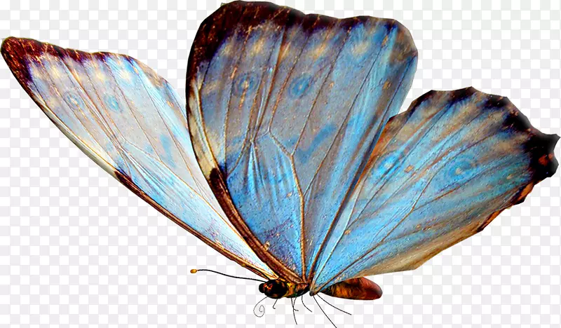 ��������-����-������