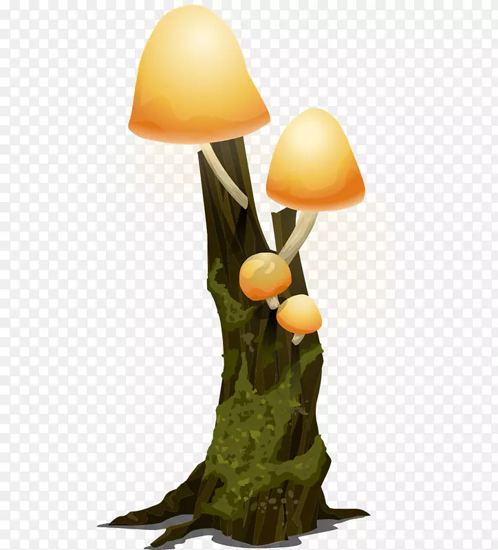 ��ѧ��־Popul rwischaftliche alatur������־-Ģ����-������