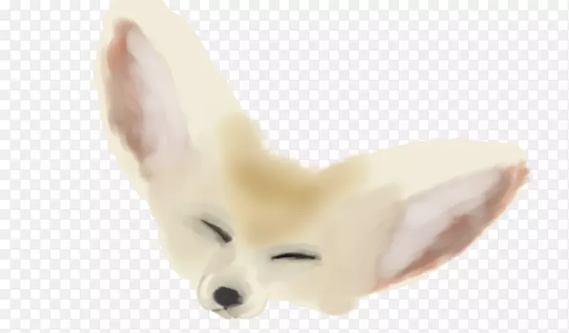 ����ë����-����˺���-������