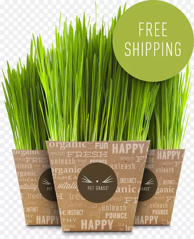 ���è������ݳ���è-������