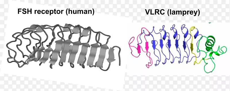 ��������.���-������