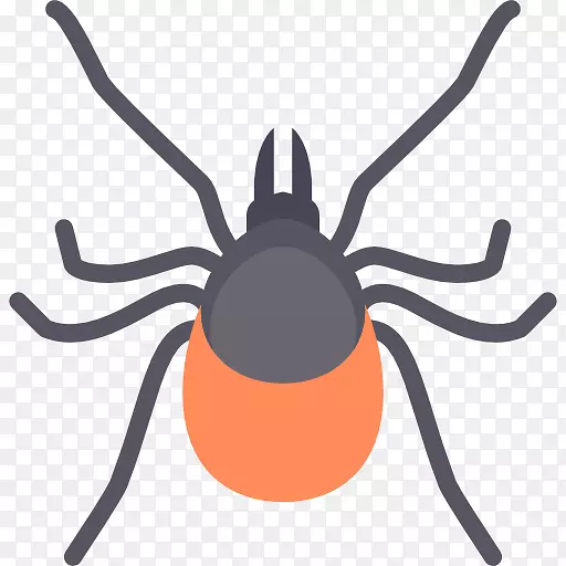 ʭ�ӵ���ͼ�����������������-������