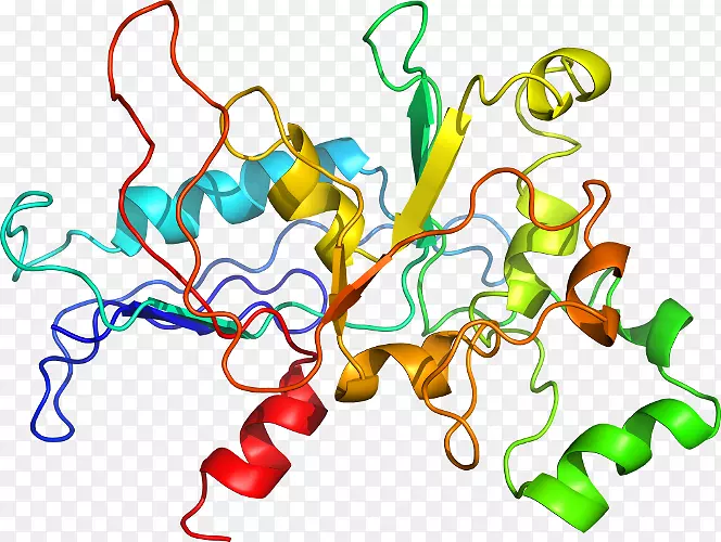 �ߵ������������-������