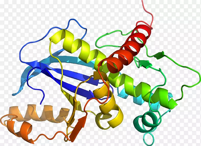 �ߵ������������-������