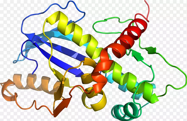 �����л������߲˼�������-������