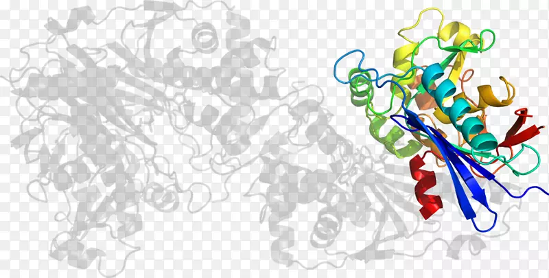 ƽ����������ֽ���������-������