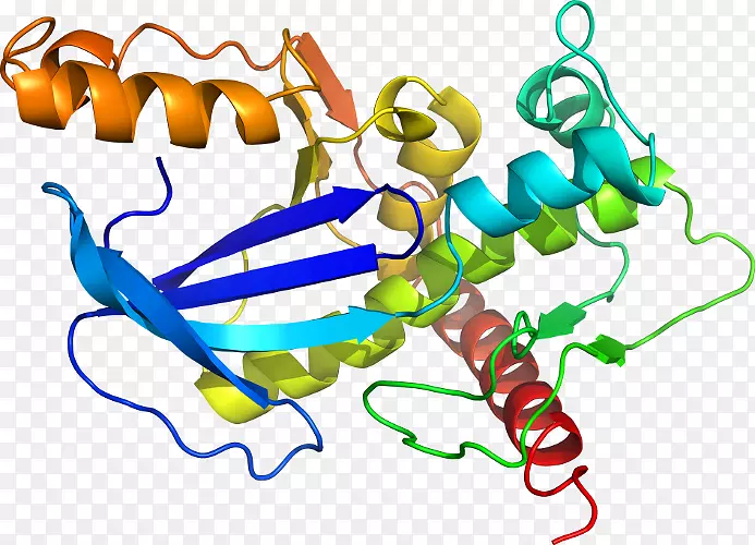 �ߵ������-��-������