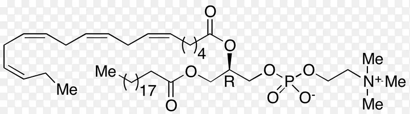 Ʒ�ư׵����-������