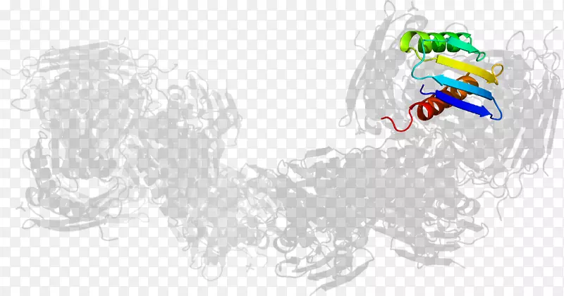 ƽ����Ʋ�ͼ-���-������