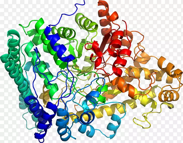 �����鱦�л��������.�鱦-������