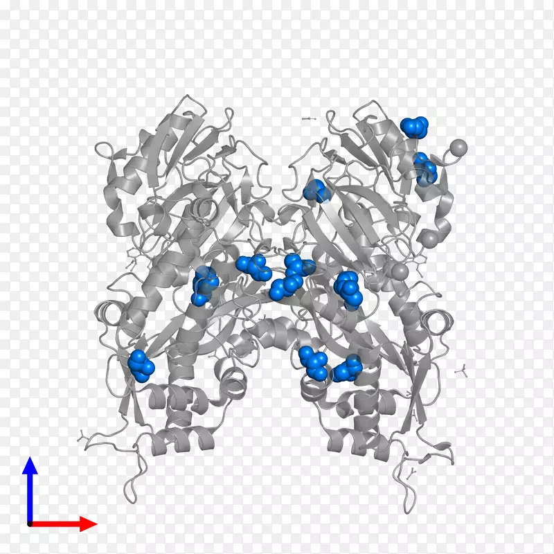 �����鱦�������-������