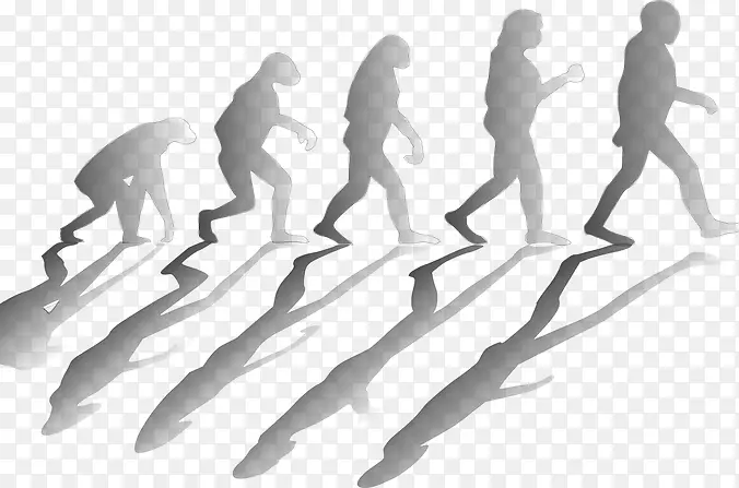 ������������������ѧ-��ѧ-������